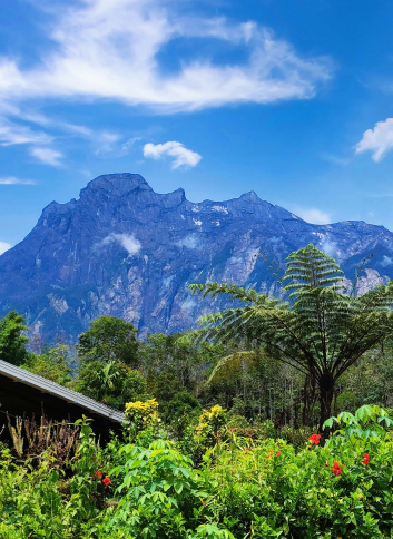 Mountain vista